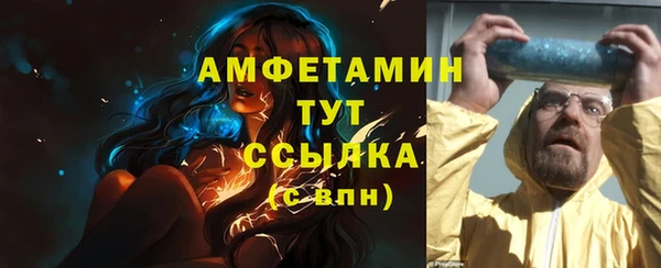 ГАЛЛЮЦИНОГЕННЫЕ ГРИБЫ Заволжье