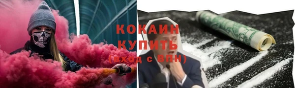 ГАЛЛЮЦИНОГЕННЫЕ ГРИБЫ Заволжье