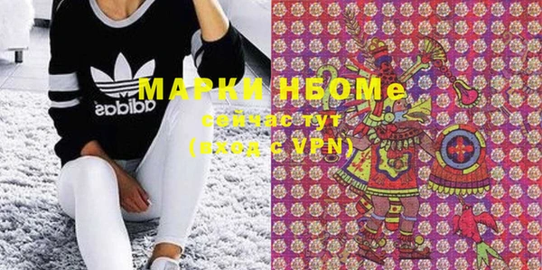 ГАЛЛЮЦИНОГЕННЫЕ ГРИБЫ Заволжье