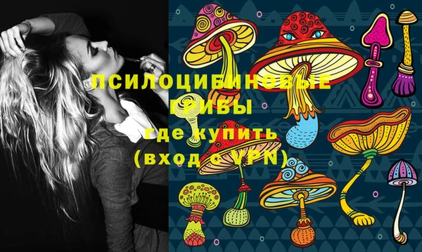 марки lsd Заводоуковск