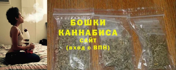 ГАЛЛЮЦИНОГЕННЫЕ ГРИБЫ Заволжье