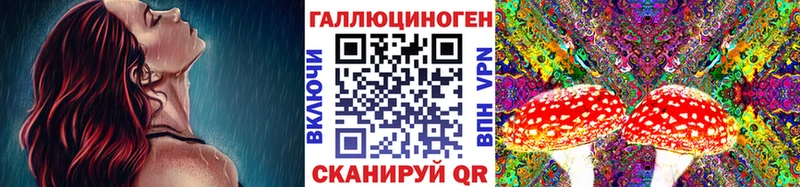 Купить  Бородино  Галлюциногенные грибы мицелий 